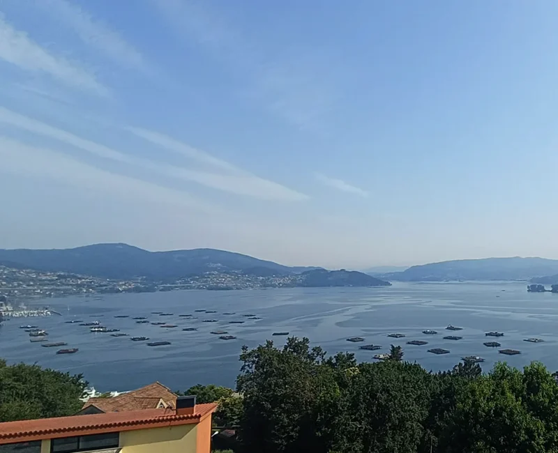 02-colegiovigo-infantil-primaria-eso-bachilleratos-fpb-entorno